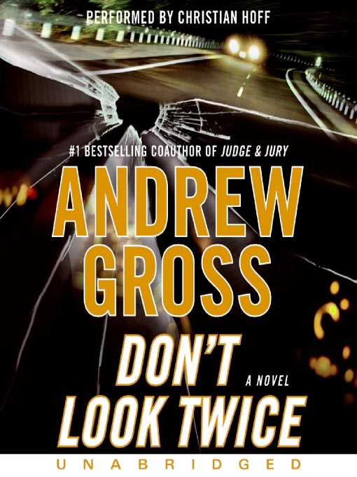 Title details for Don't Look Twice by Andrew Gross - Wait list